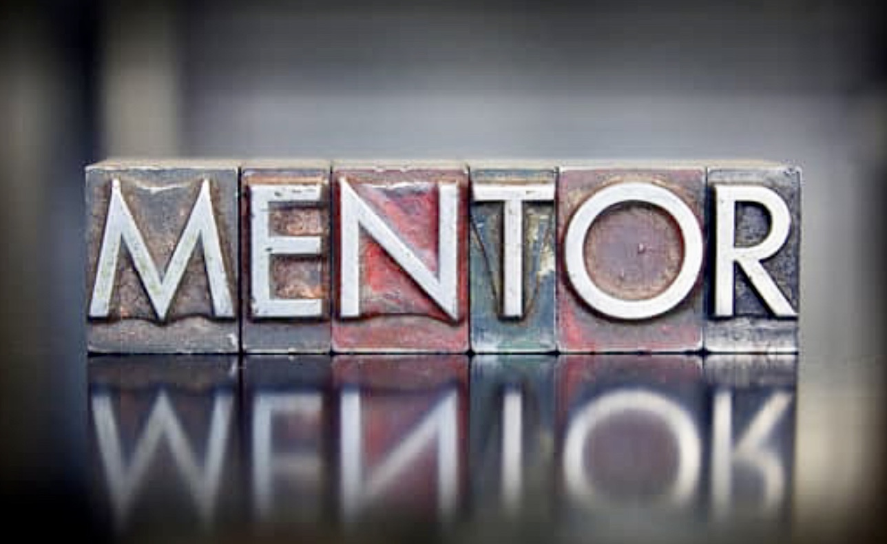 Blog posted by potential mentit mentors